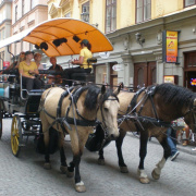 NID-1708_Svedorszag278.jpg