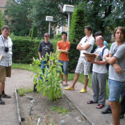 NID-1708_Svedorszag736.jpg