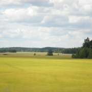 NID-1708_Svedorszag825.jpg