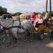 NID-1789_csaladi_nap_3a00039.JPG