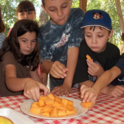 NID-963_hagyomanyorzo_tabor00023.jpg
