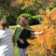 NID-1984_arboretum00020.jpg