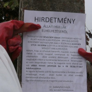 NID-1983_vorosiszap00035.jpg