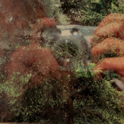 NID-2260_diakalkotasok00027.JPG