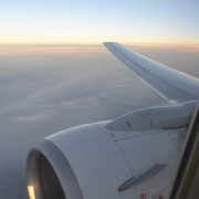 NID-2228_NID-2228_mardi-008.jpg