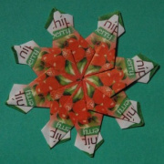 NID-2283_origami00031.JPG