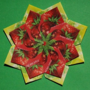 NID-2283_origami00049.JPG