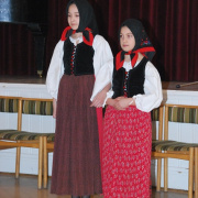 NID-2359_felsos_farsang182040.JPG