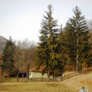 NID-2381_055.JPG