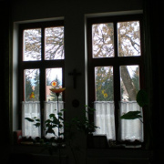 NID-2379_P2120126.JPG