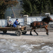 NID-2379_P2130154.JPG