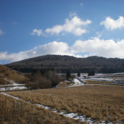 NID-2379_P2130171.JPG