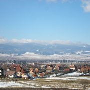 NID-2379_P2130177.JPG