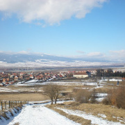NID-2379_P2130185.JPG