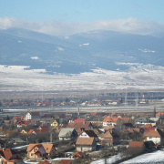 NID-2379_P2130198.JPG