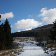 NID-2379_P2130204.JPG
