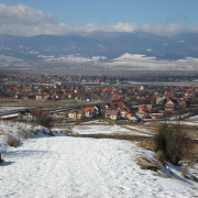 NID-2379_P2130214.JPG