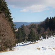NID-2379_P2130279.JPG