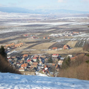 NID-2379_P2130307.JPG