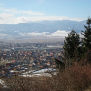 NID-2379_P2130342.JPG