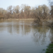 NID-2414_Tiszaug00009.JPG