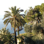 NID-2417_DSCF7419.JPG