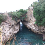 NID-2417_DSCF7470.JPG