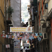NID-2417_DSCF7507.JPG