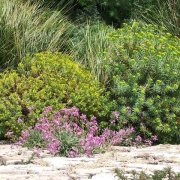 NID-2417_DSCF7590.JPG