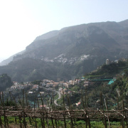 NID-2417_DSCF7656.JPG