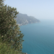 NID-2417_DSCF7665.JPG