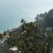 NID-2417_DSCF7666.JPG