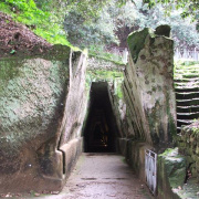 NID-2417_DSCF7741.JPG