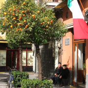 NID-2417_DSCF7789.JPG