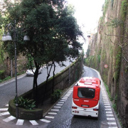 NID-2417_DSCF7792.JPG