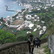 NID-2417_DSCF7912.JPG