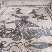 NID-2417_DSCF7960.JPG