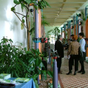 NID-2412_DSCF2204.JPG