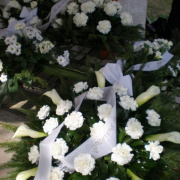 NID-2462_P4190008.JPG