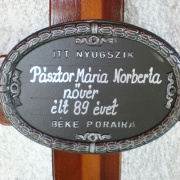 NID-2462_P4190009.JPG