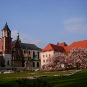 NID-2478_HPIM2668.JPG