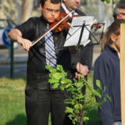 NID-2482_emlekfa 059.JPG