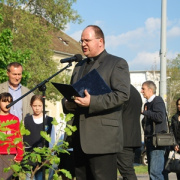 NID-2482_emlekfa 261.JPG