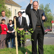NID-2482_emlekfa 273.JPG