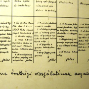NID-2489_muzeumlatogatas 077.JPG