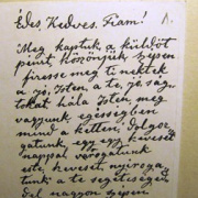 NID-2489_muzeumlatogatas 080.JPG