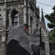DSC_0891.jpg