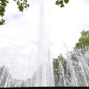 DSC_0959.jpg