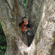 DSC_0960.jpg