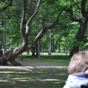 DSC_0964.jpg